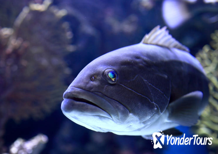 Antalya Aquarium Antalya Aquarium