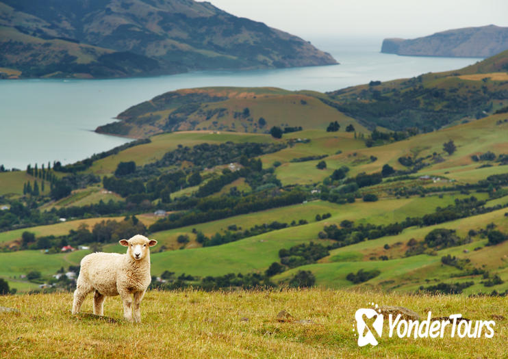 Banks Peninsula Banks Peninsula