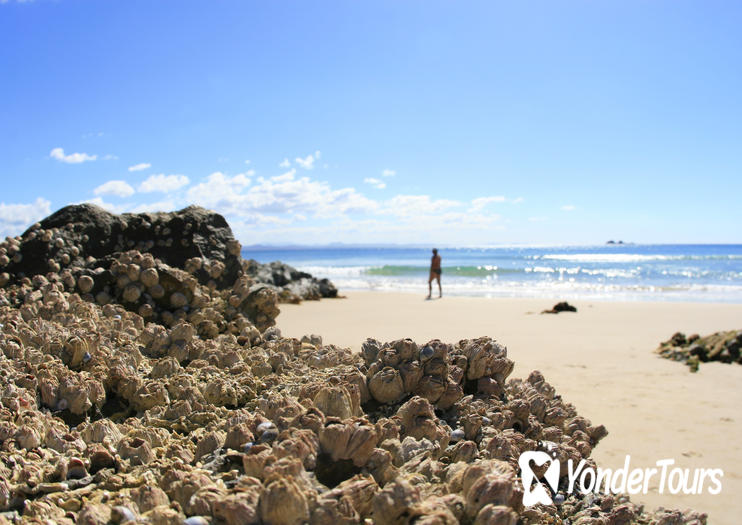 Belongil Beach Belongil Beach
