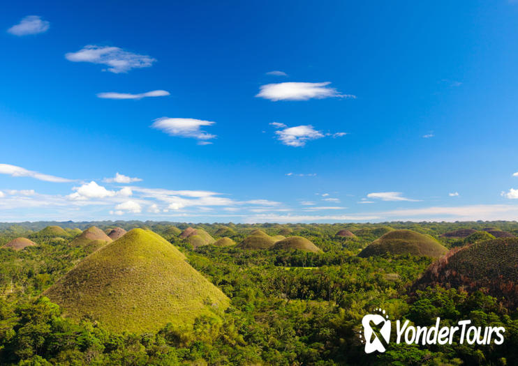 Bohol Island