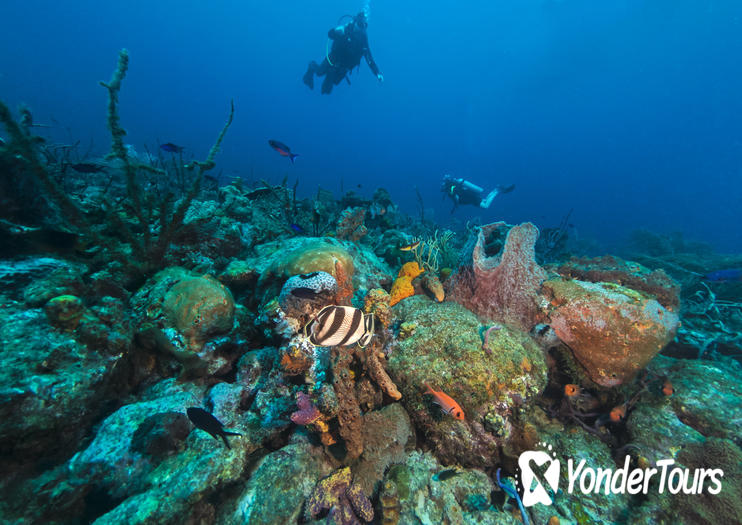 Cades Reef