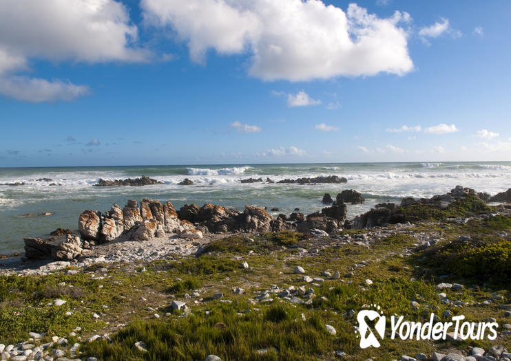 Cape Agulhas 
