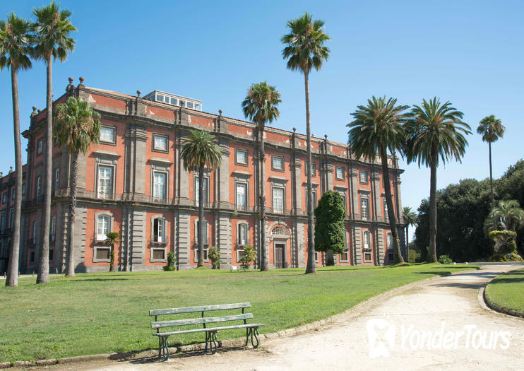 Capodimonte Museum Capodimonte Museum