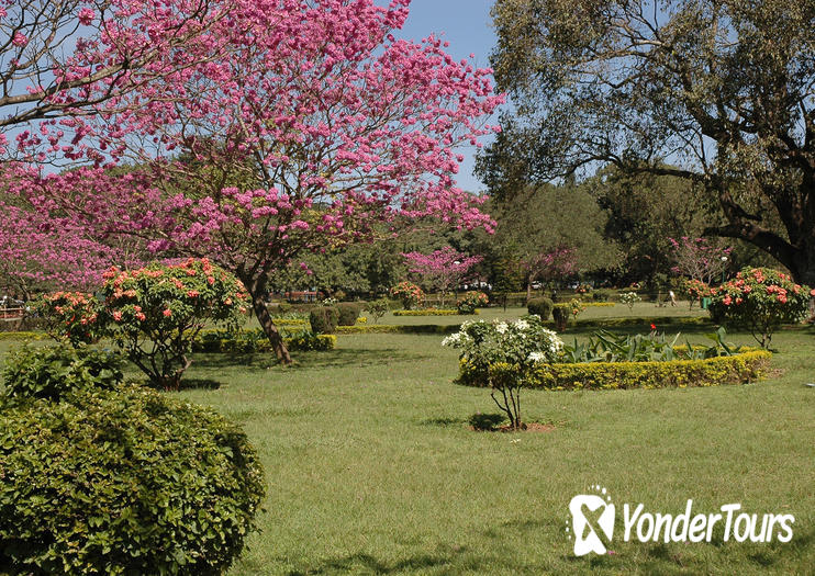 Cubbon Park