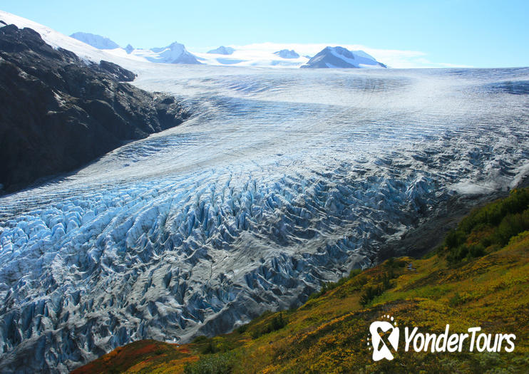 Exit Glacier Exit Glacier