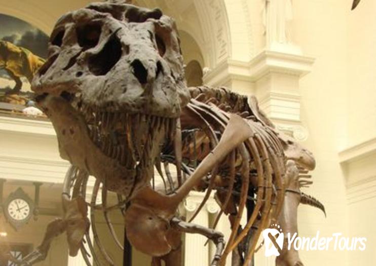 Field Museum of Natural History Field Museum of Natural History
