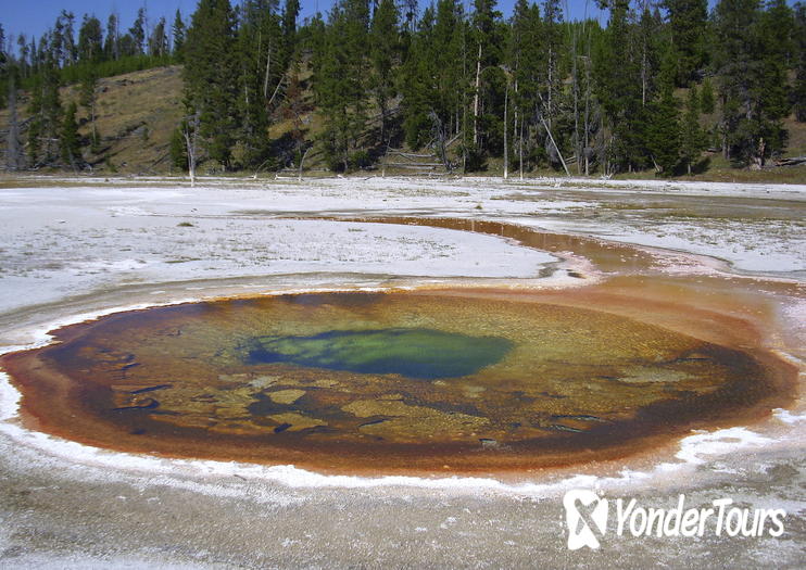 Fountain Paint Pot