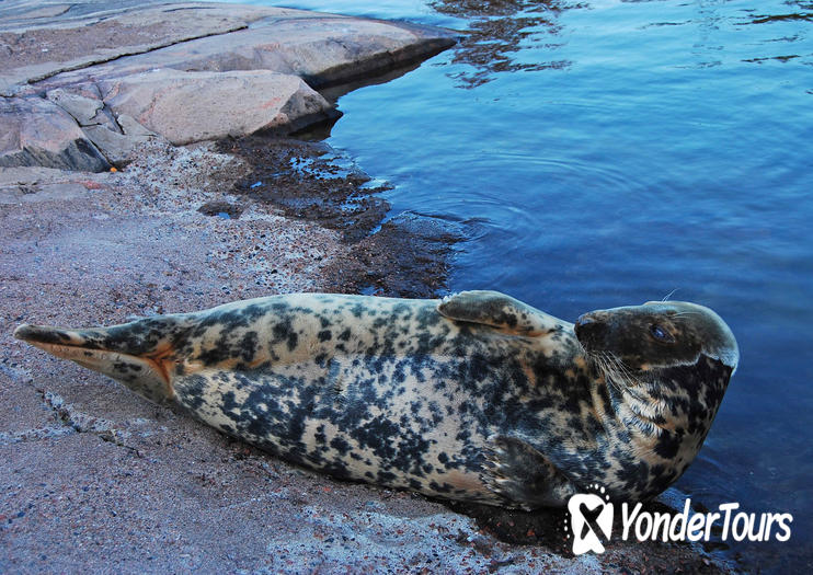 Helsinki Zoo (Korkeasaari)