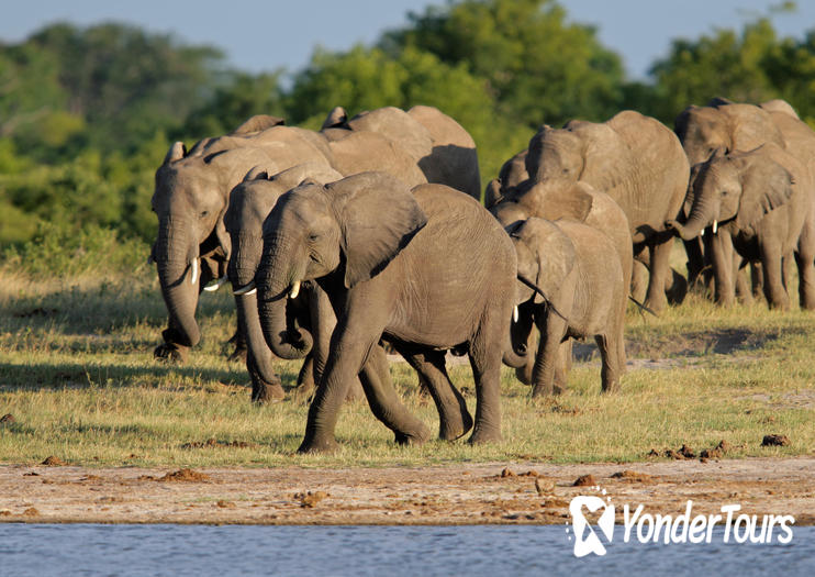 Hwange National Park