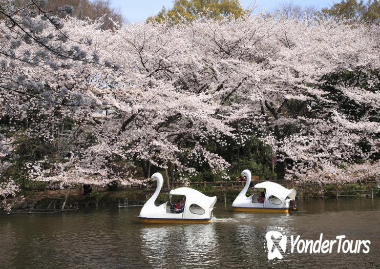 Inokashira Park Inokashira Park