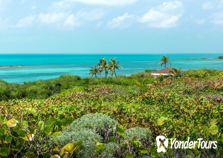 Isla Contoy Isla Contoy