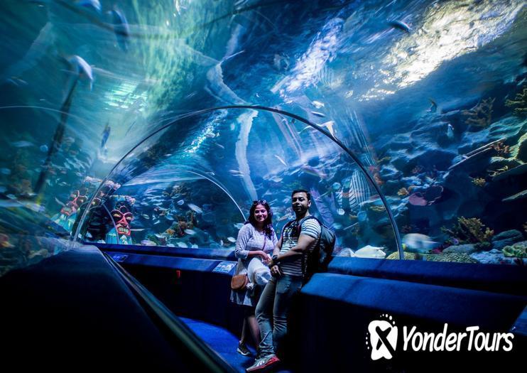 Istanbul Sea Life Aquarium Istanbul Sea Life Aquarium