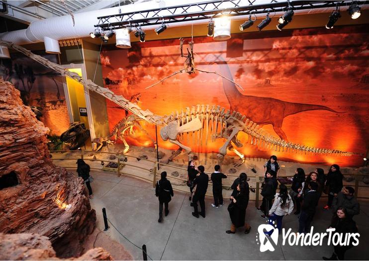 Jurassic Land Jurassic Land