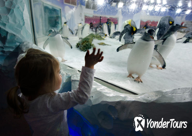 Kelly Tarlton's SEA LIFE Aquarium Kelly Tarlton's SEA LIFE Aquarium