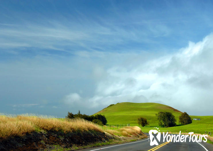 Kohala Kohala