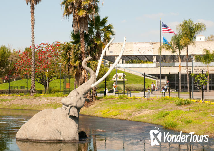 La Brea Tar Pits La Brea Tar Pits