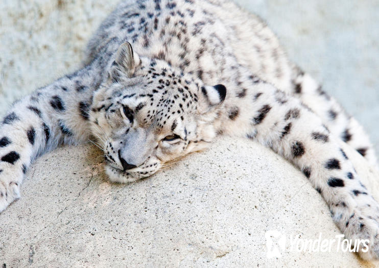Los Angeles Zoo Los Angeles Zoo