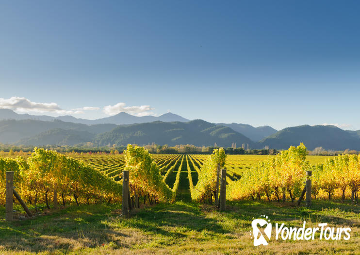 Marlborough