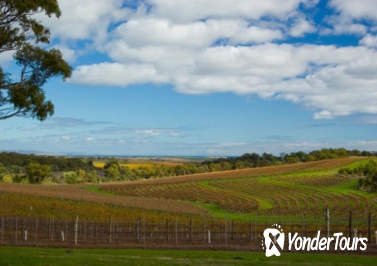 McLaren Vale Wineries McLaren Vale Wineries