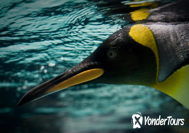 Melbourne Aquarium Melbourne Aquarium