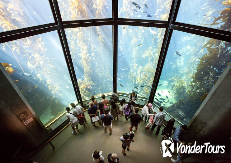 Monterey Bay Aquarium Monterey Bay Aquarium