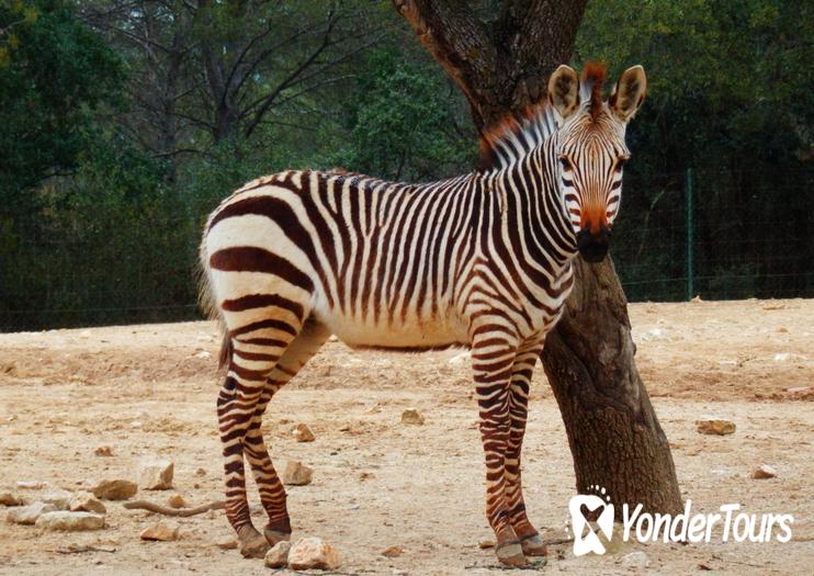 Montpellier Zoo