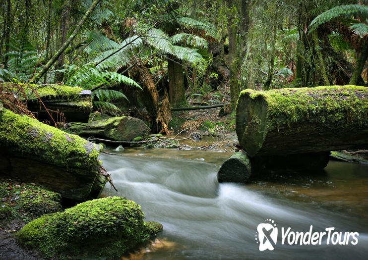 Mount Field National Park Mount Field National Park
