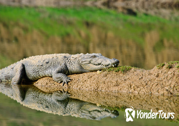 National Chambal Sanctuary National Chambal Sanctuary