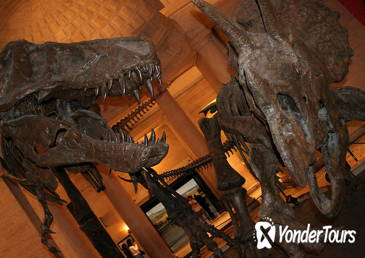Natural History Museum of Los Angeles County Natural History Museum of Los Angeles County