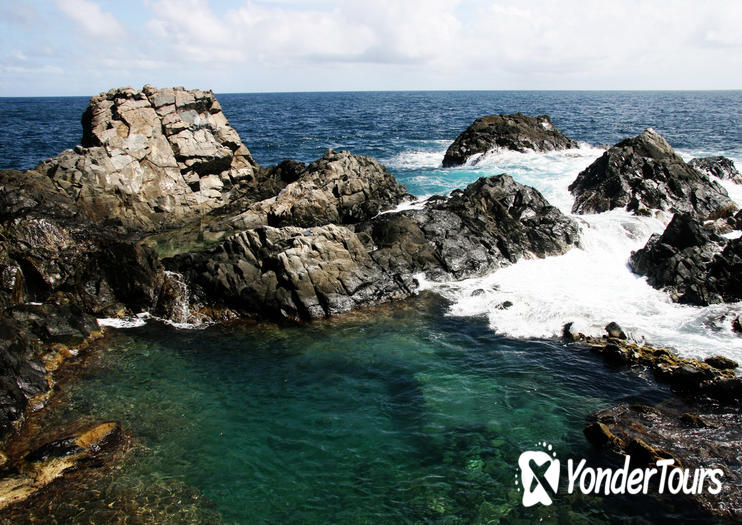 Natural Pool