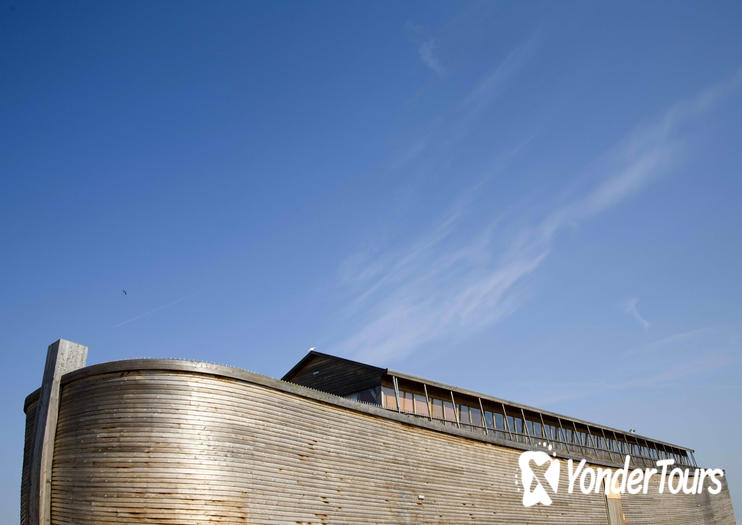Noah's Ark Noah's Ark