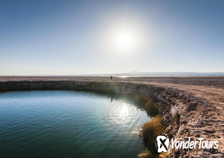 Ojos del Salar Ojos del Salar