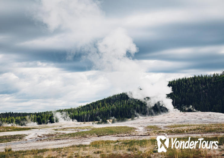 Old Faithful Old Faithful