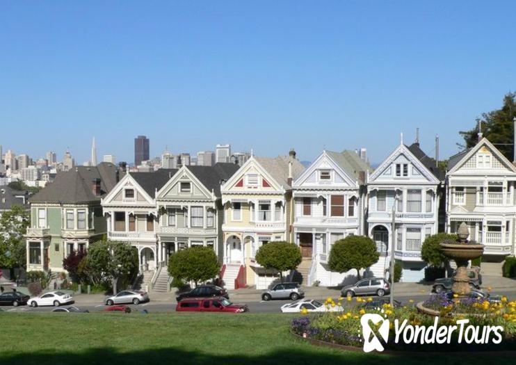 Painted Ladies Painted Ladies
