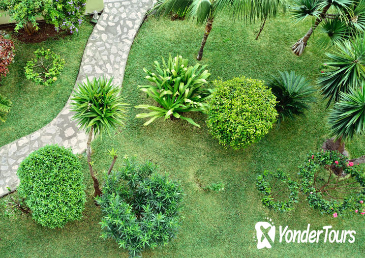 Palm Groves Garden (Gibbons Garden) Palm Groves Garden (Gibbons Garden)