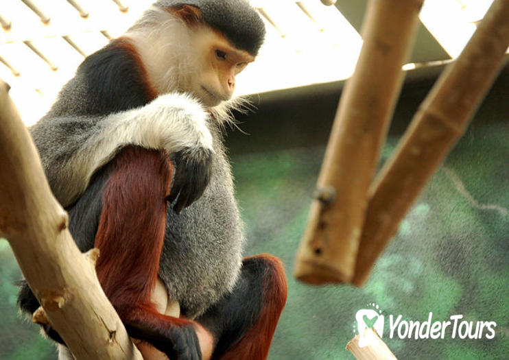 Philadelphia Zoo