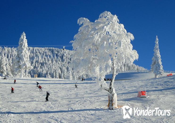 Poiana Brasov