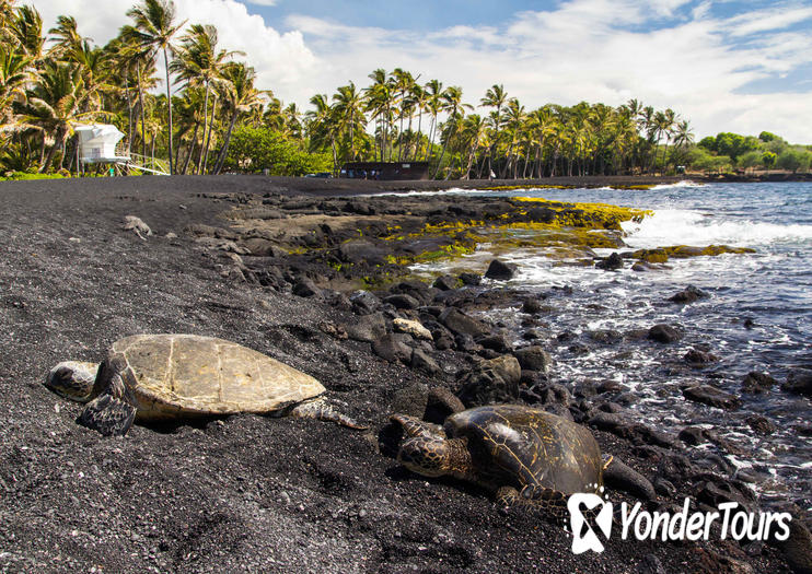 Punaluu Black Sand Beach Park Punaluu Black Sand Beach Park