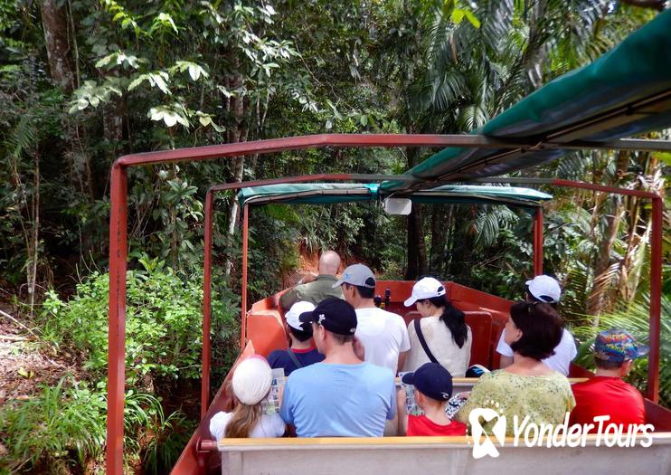 Rainforestation Nature Park Rainforestation Nature Park
