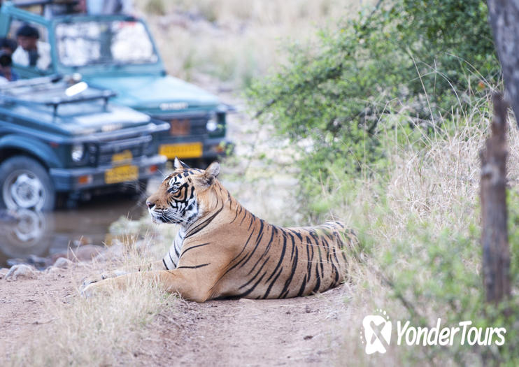 Ranthambore National Park Ranthambore National Park