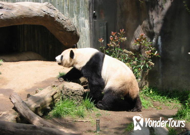 San Diego Zoo San Diego Zoo
