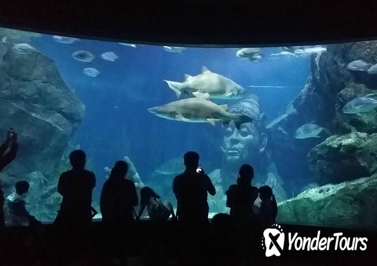 SEA LIFE Bangkok Ocean World SEA LIFE Bangkok Ocean World