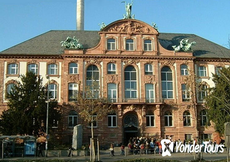 Senckenberg Natural History Museum (Naturmuseum Senckenberg) Senckenberg Natural History Museum (Naturmuseum Senckenberg)