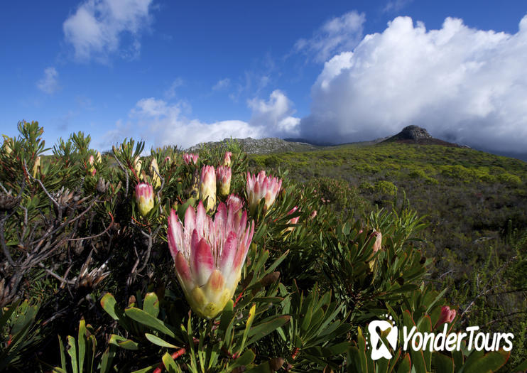 Silvermine Nature Reserve Silvermine Nature Reserve