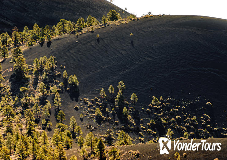 Sunset Crater Volcano National Monument