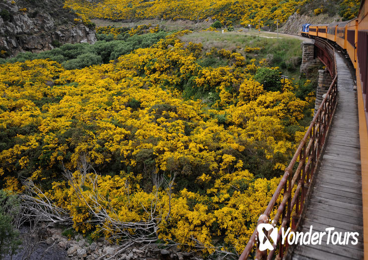 Taieri Gorge Railway