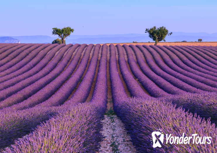 Valensole Plateau Valensole Plateau