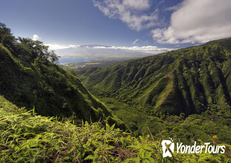 Waihee Ridge Trail Waihee Ridge Trail