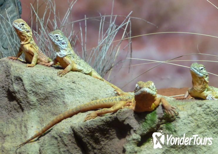 WILD LIFE Sydney Zoo WILD LIFE Sydney Zoo