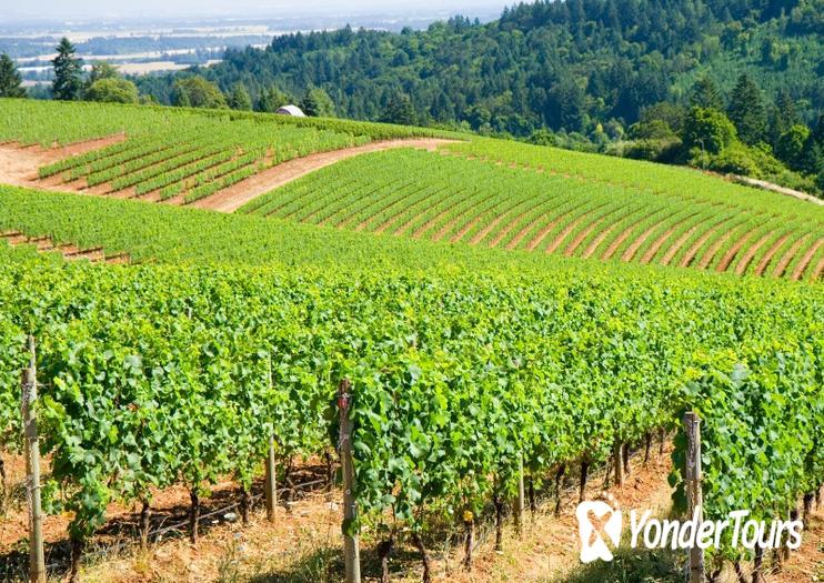 Willamette Valley